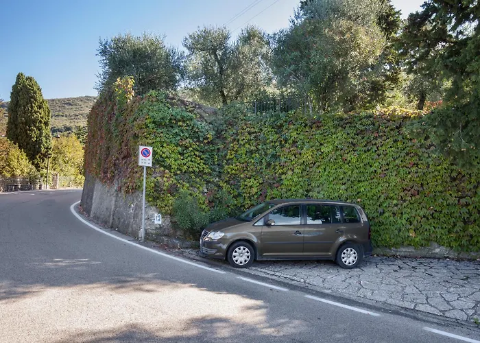 Apartment Greenery Loft