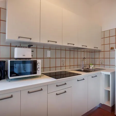 Greenery Loft 公寓